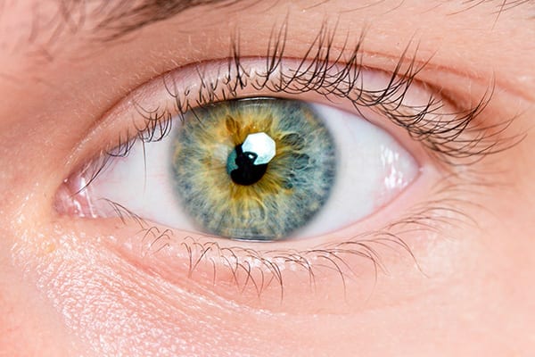 presbylasik prix docteur romain nicolau specialiste chirurgie refractive chirurgie laser yeux ophtalmo paris